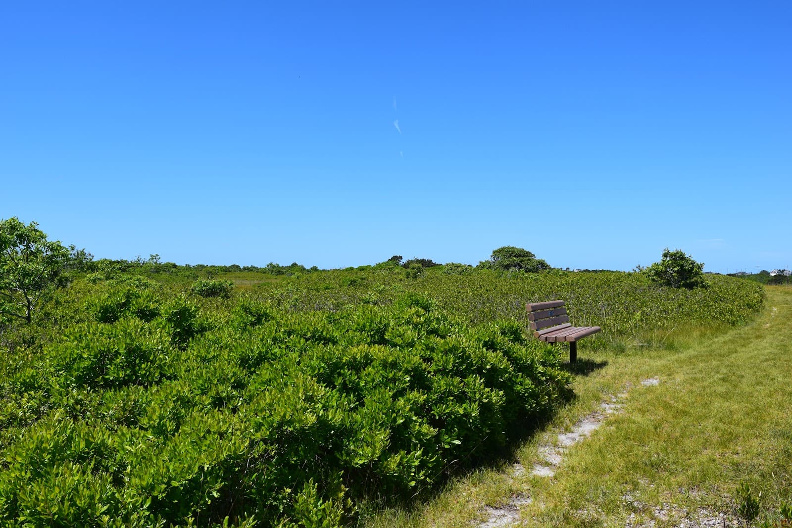 Linda Loring Nature Foundation - Image 1