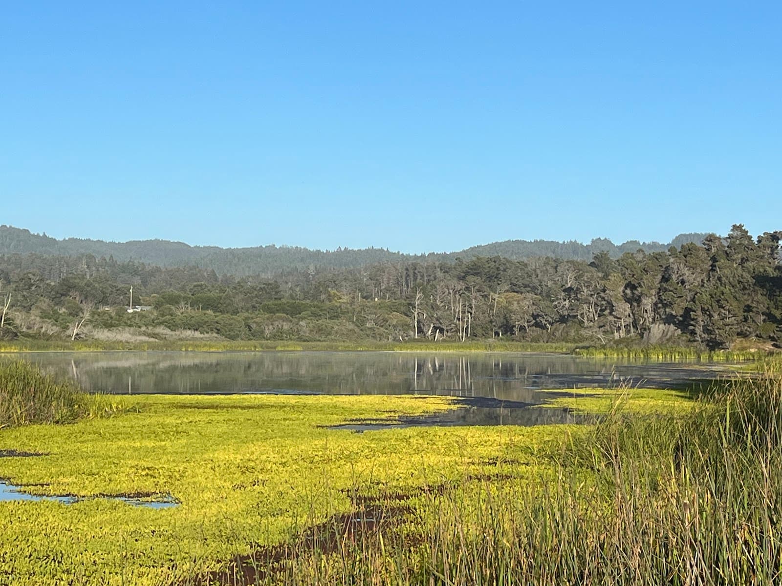 Lake Cleone MacKerricher - Image 1