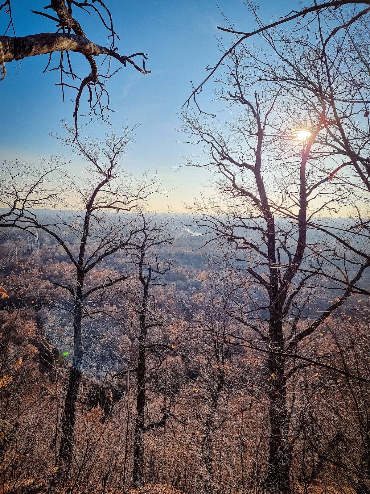 Vertical photo