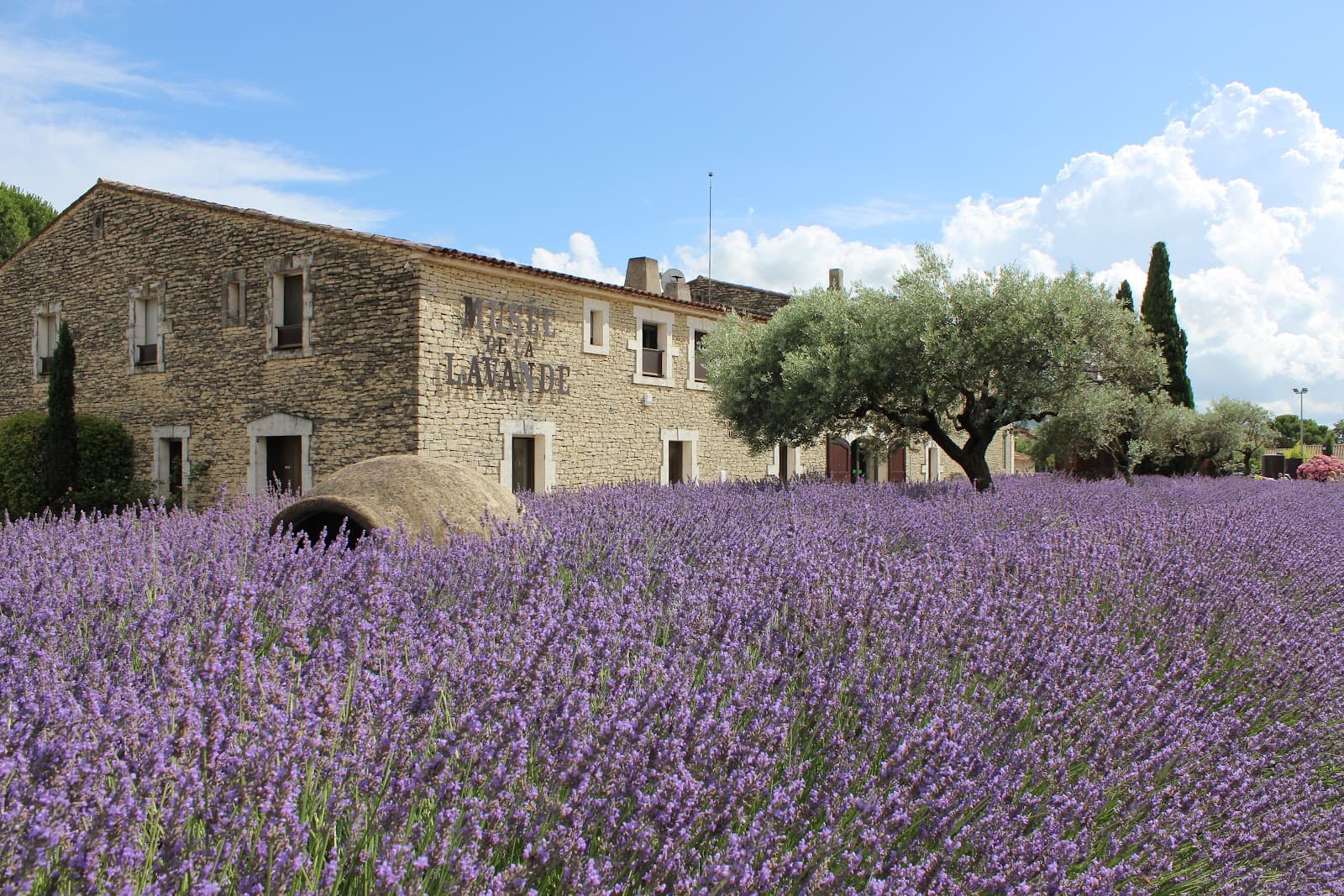 Luberon Lavender Museum Coustellet - Image 1