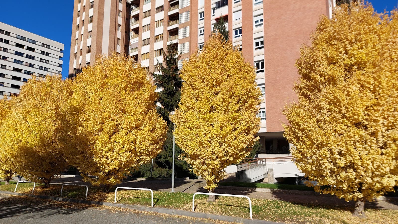 Iturrama Pamplona - Image 1