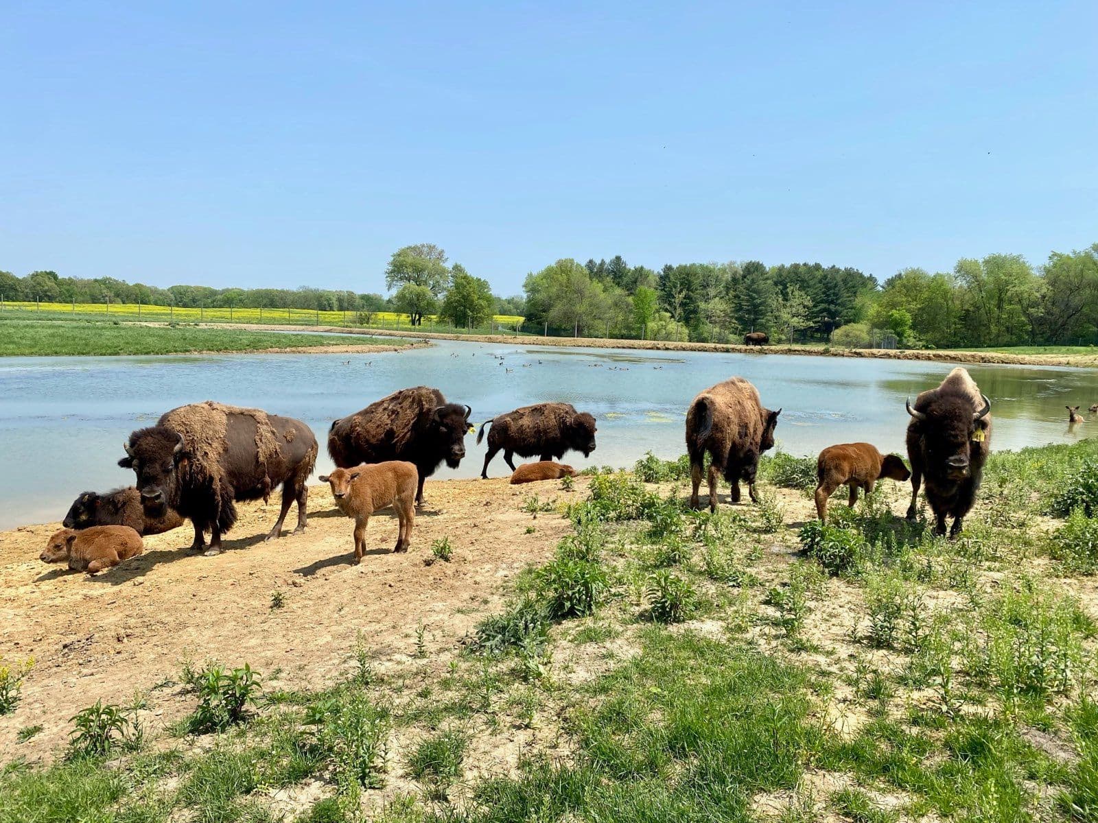 Wildlife Prairie Park - Image 1