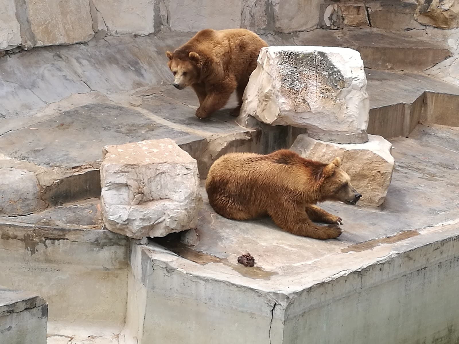 Tunis Zoo - Image 1