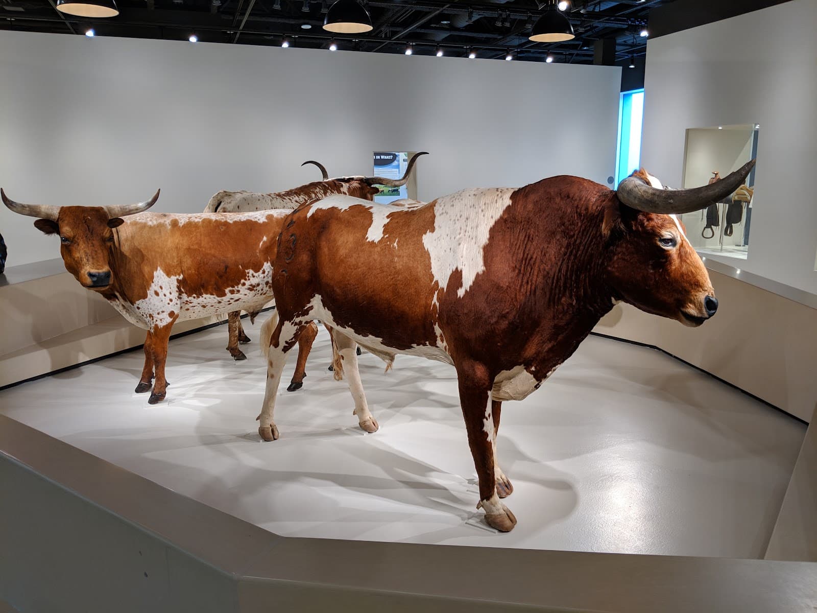 Cattle Raisers Museum - Image 1