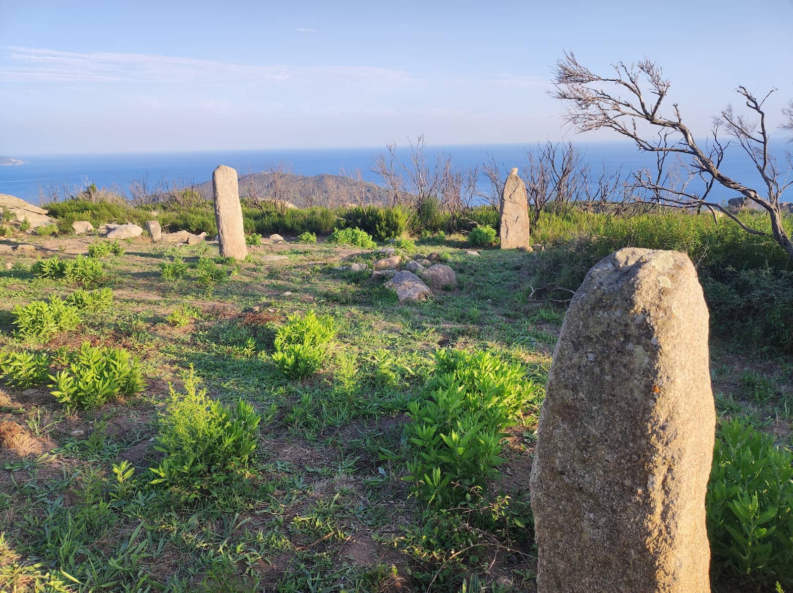 The Menhir Circle