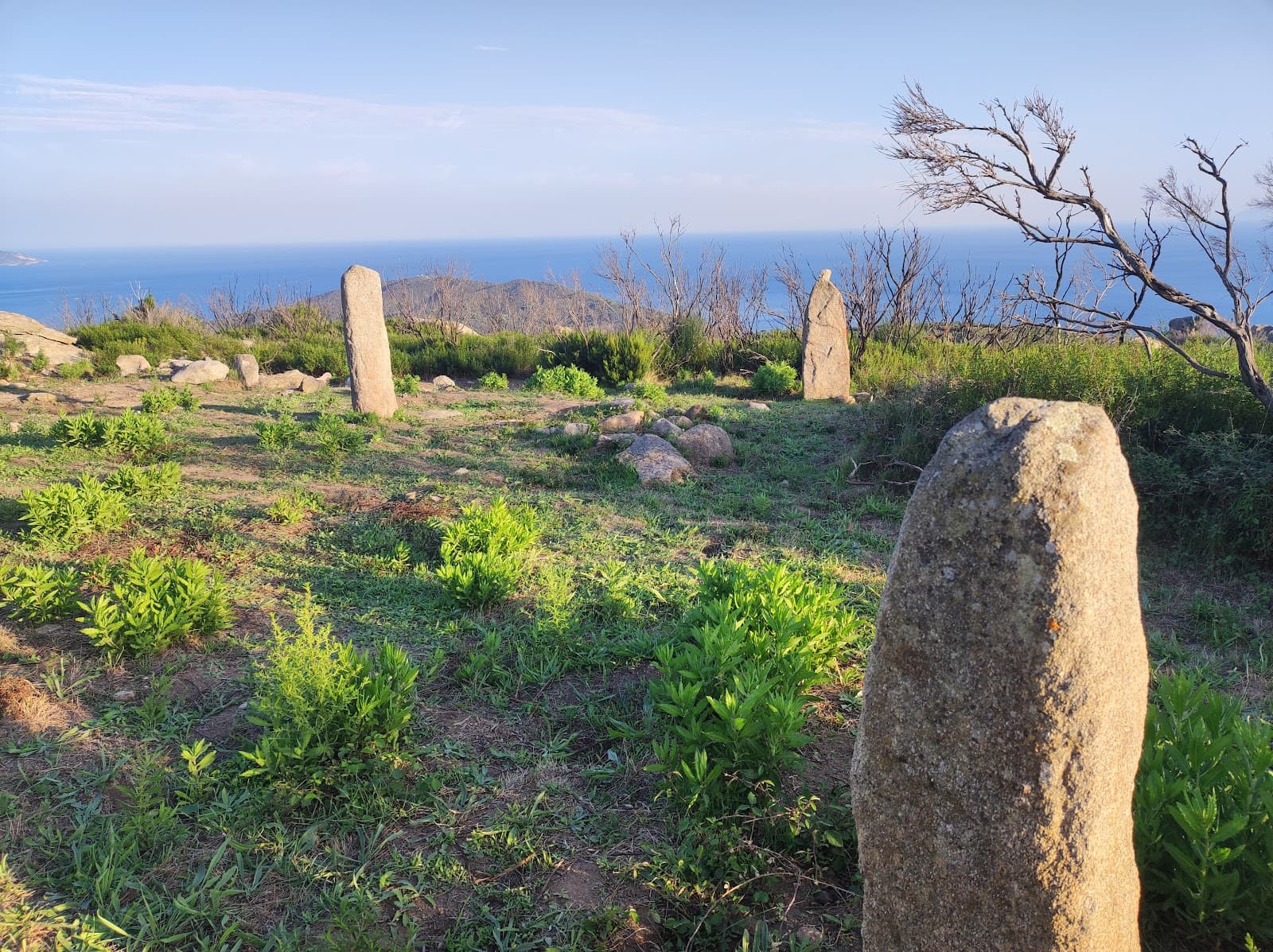 Sassi Ritti (menhirs) - Image 1
