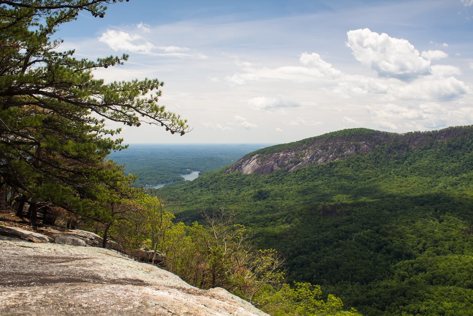 Weed Patch Mountain Trail - Image 1