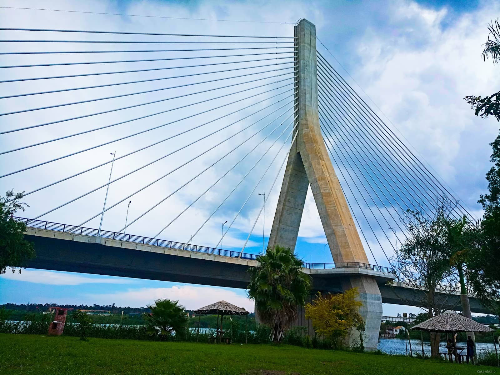 Vertical photo