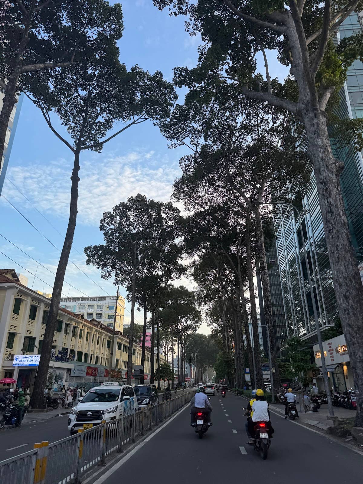 Vertical photo