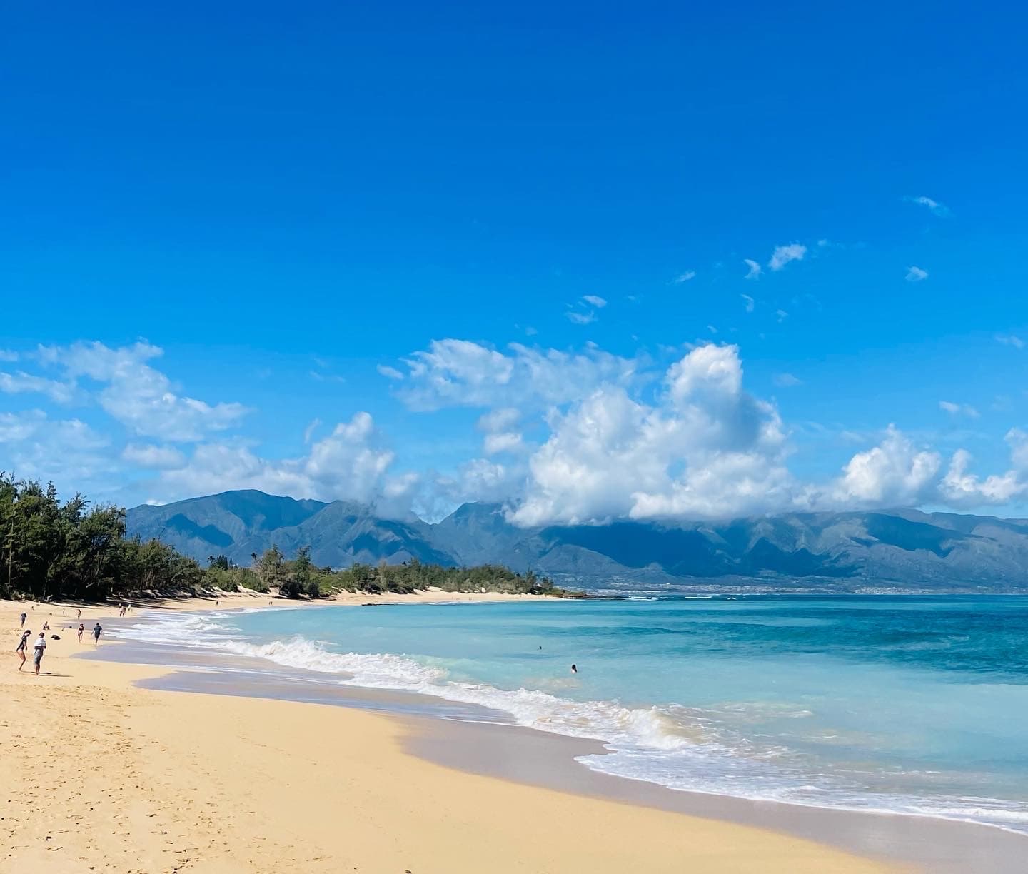 Baldwin Beach Park - Image 1