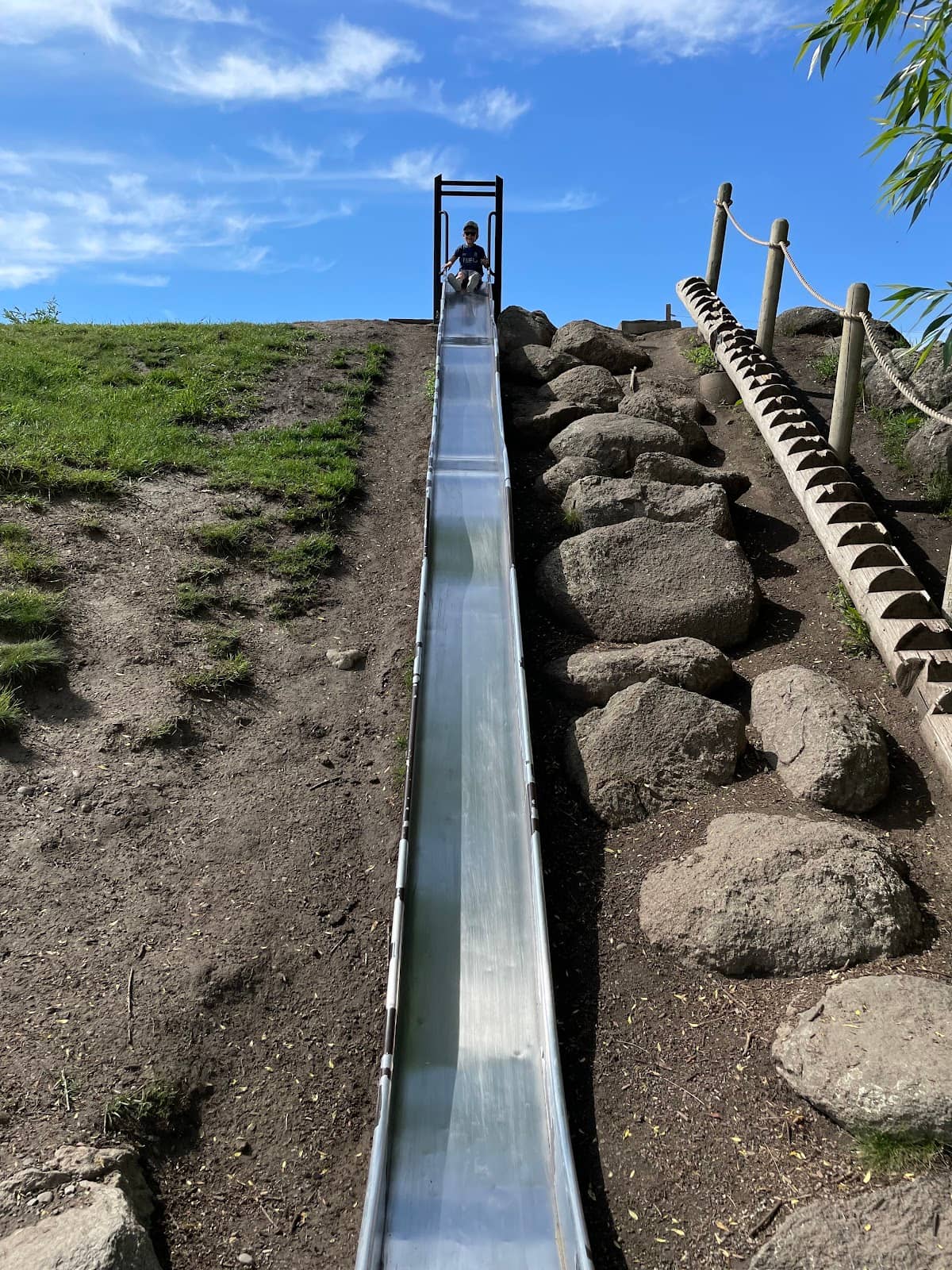 Vertical photo