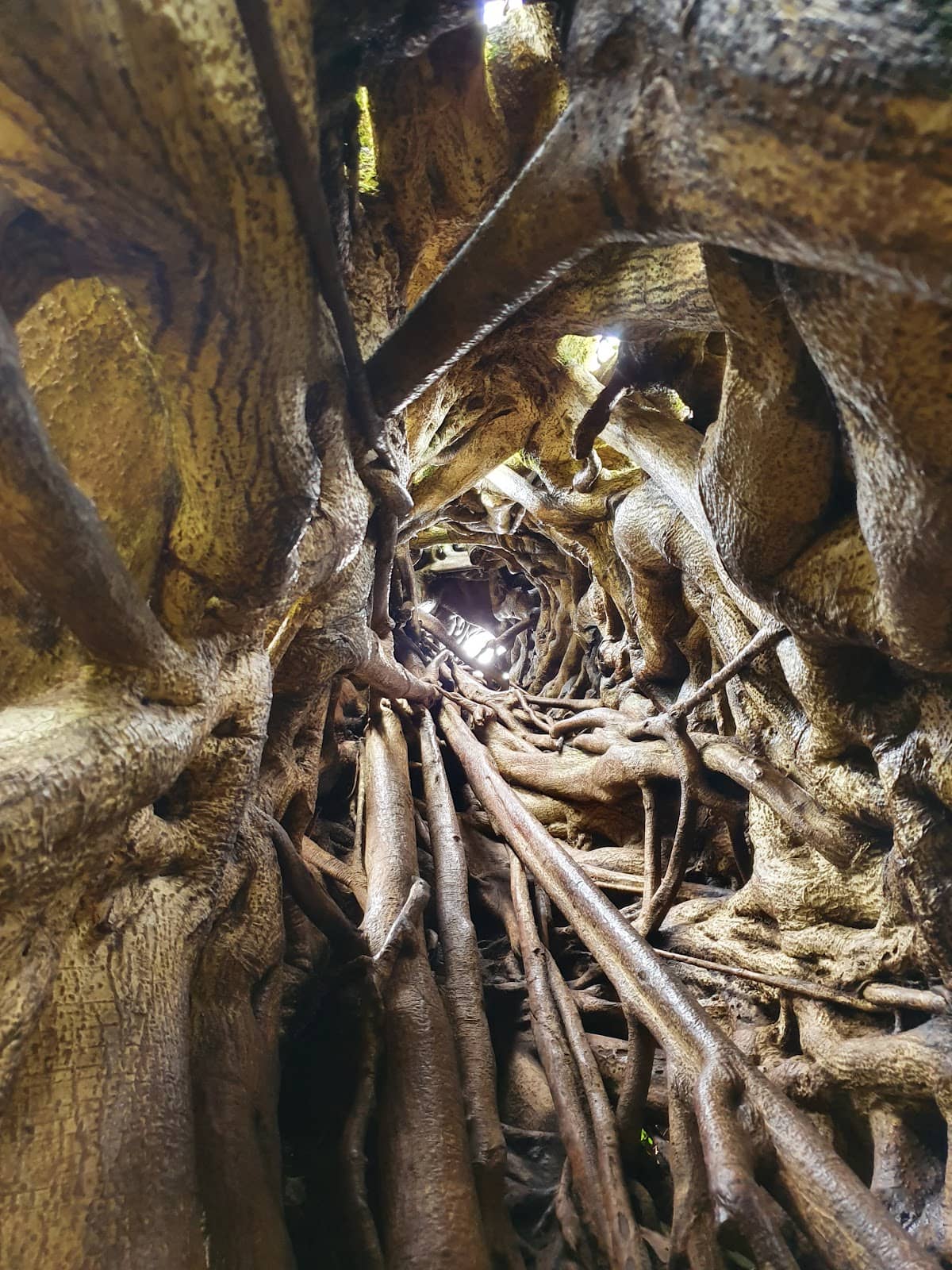 Vertical photo