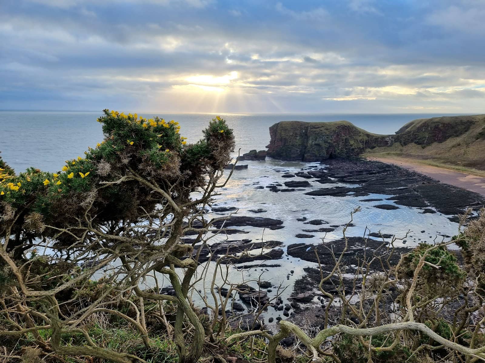 Angus Coastal Path Views