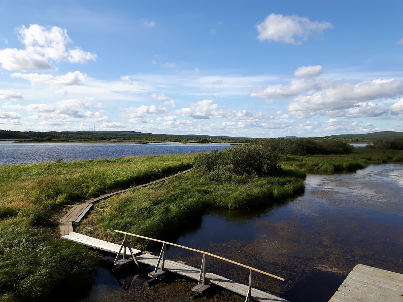 Koivusaari Nature Trail - Image 1