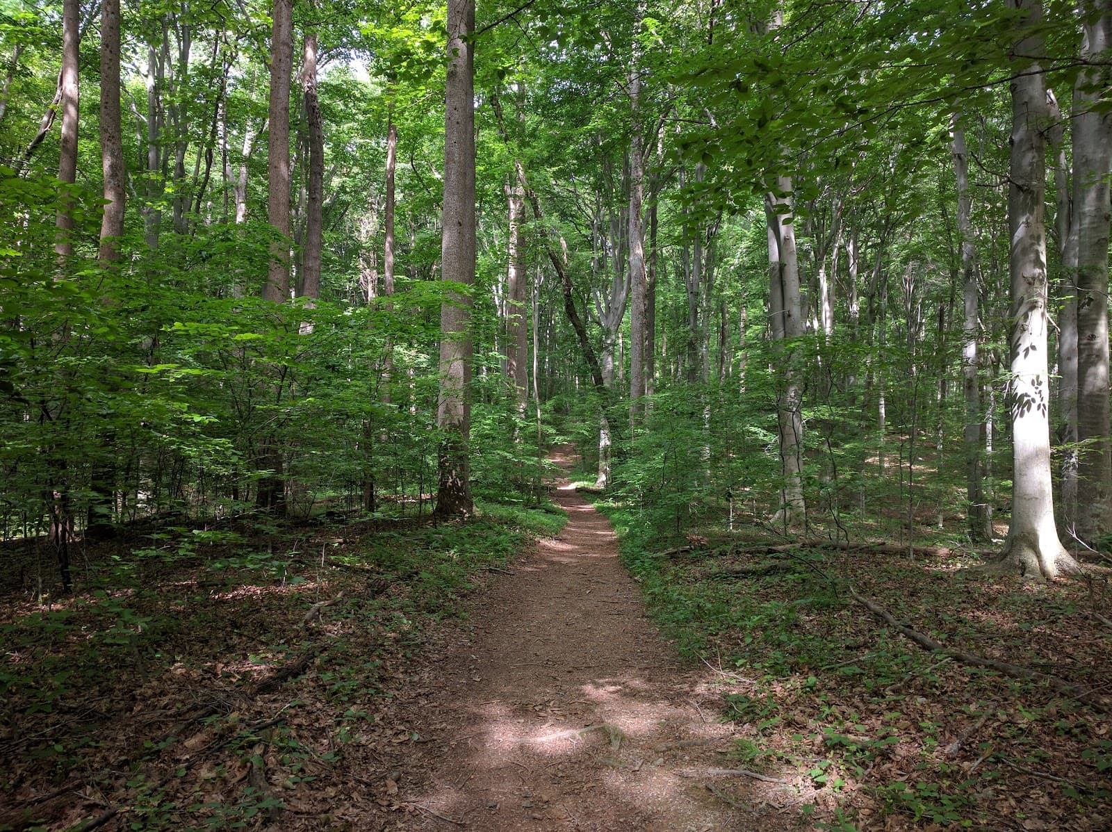 Potomac Heritage Trail (VA) - Image 1