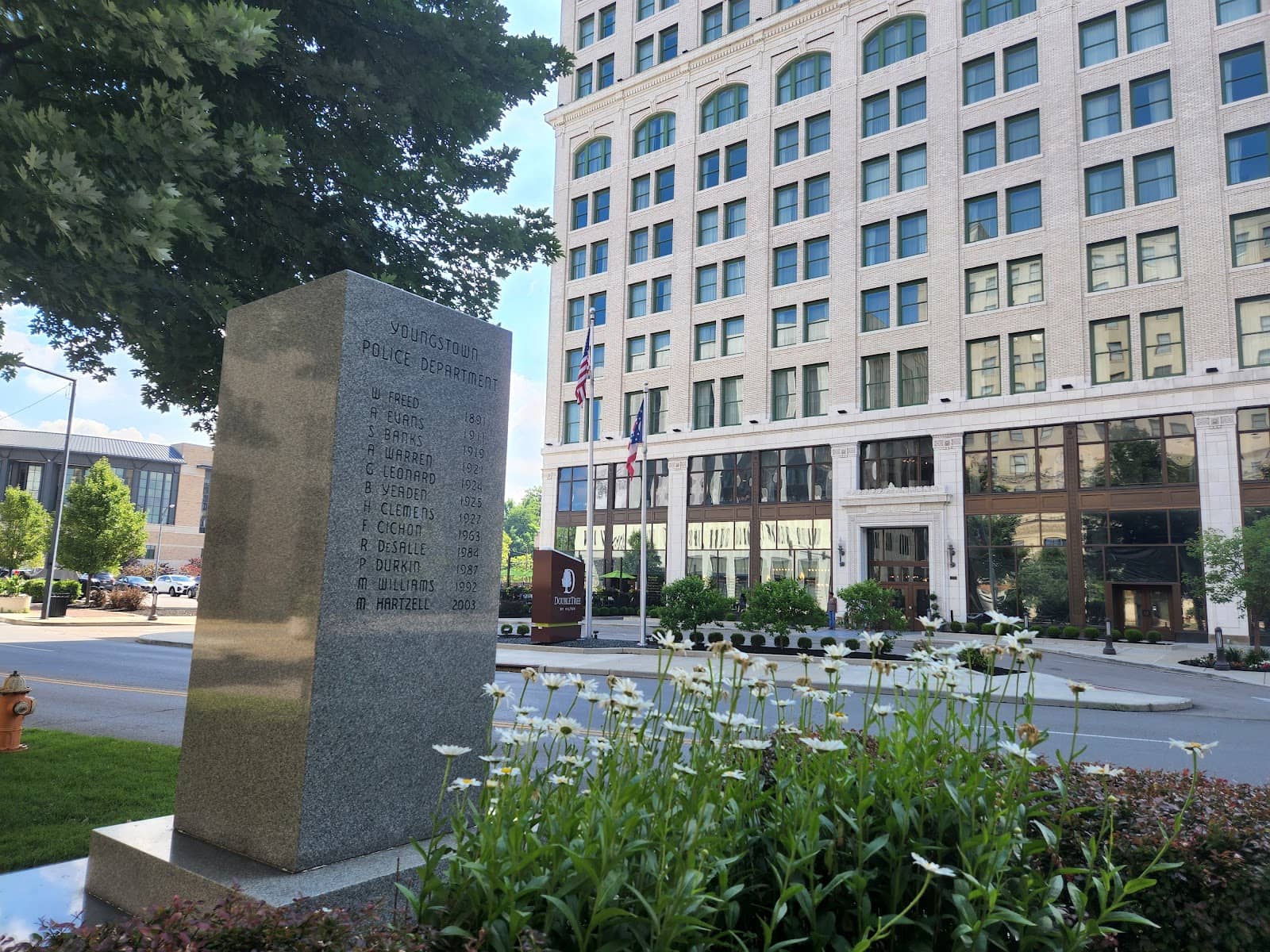 Y-Live Music Festival