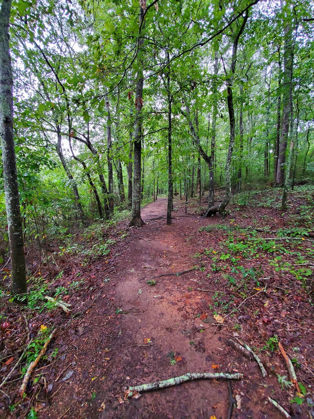 Picnic & Barbecue Areas