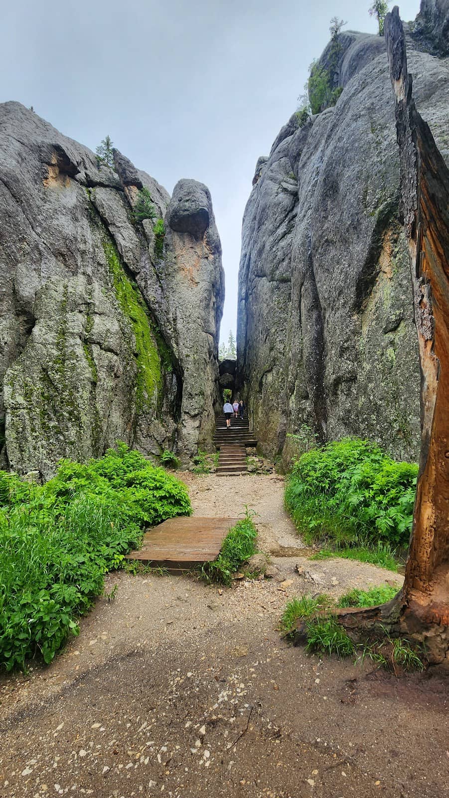 Vertical photo