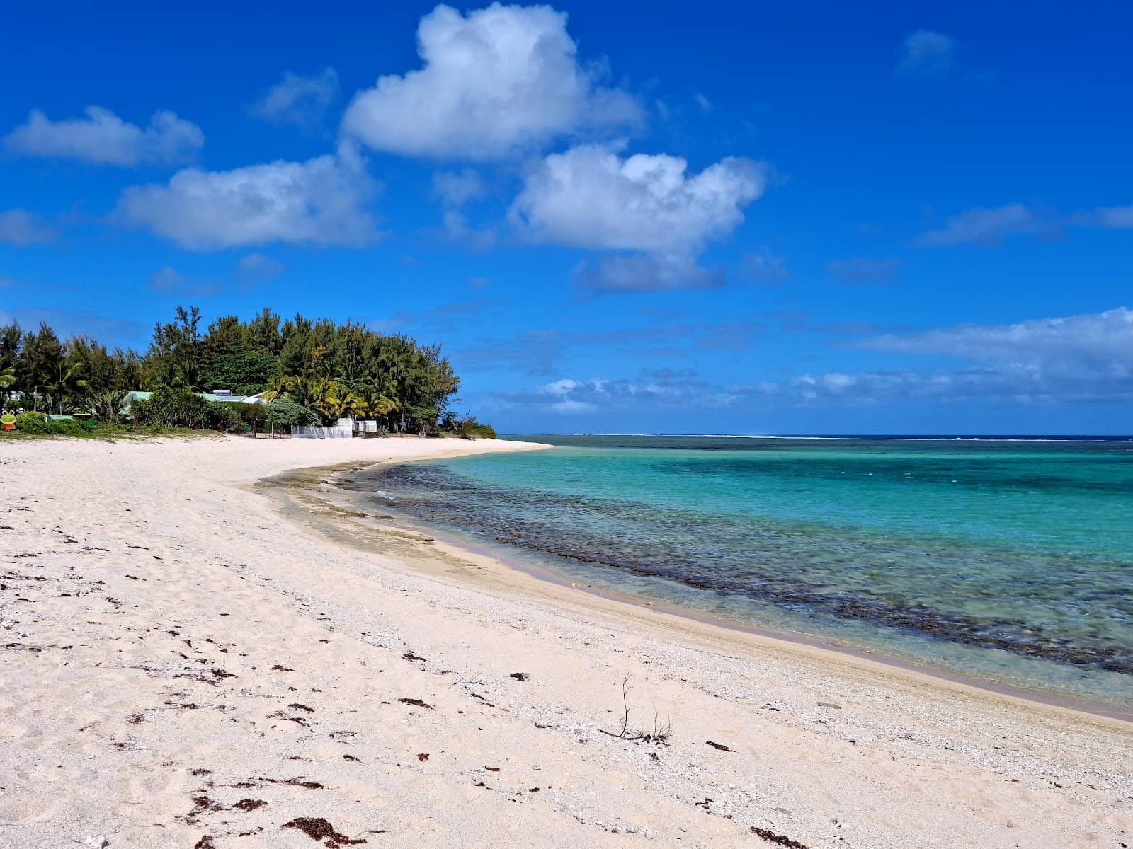 Horseback Beach Rides