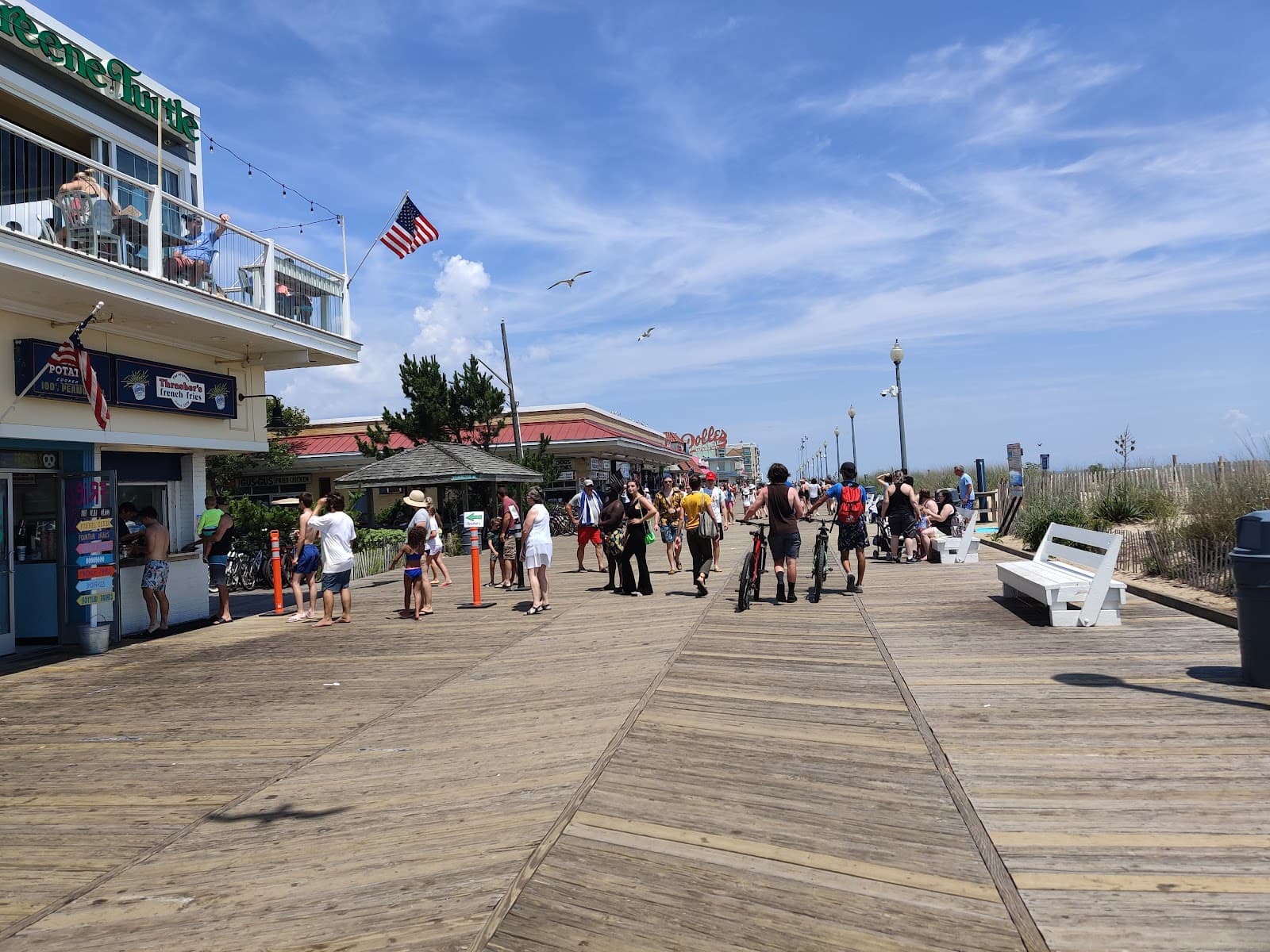 North Shores - Image 1