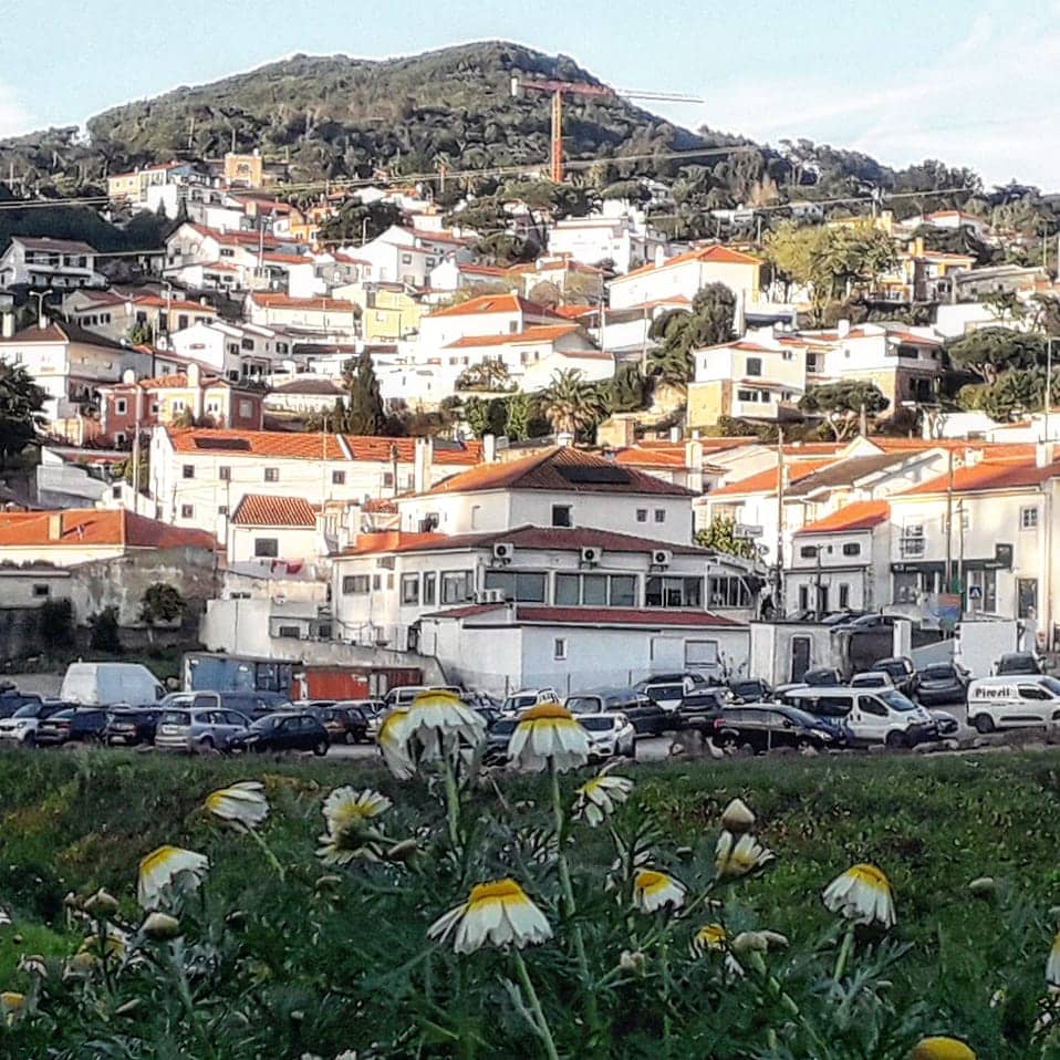 Tranquil Residential Areas