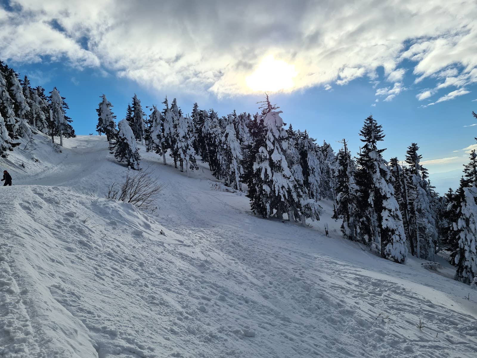 Vertical photo