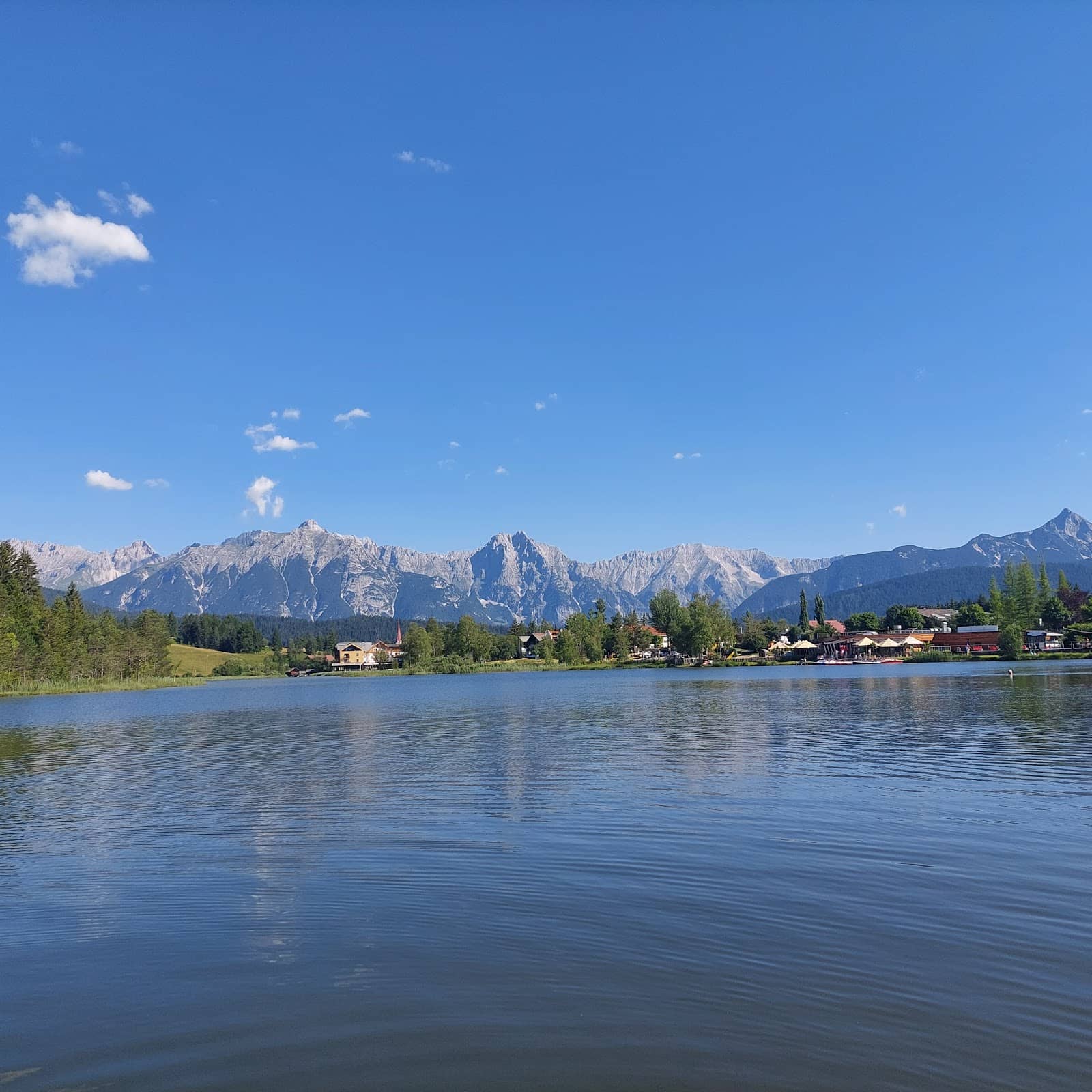 Alpine Flora and Fauna