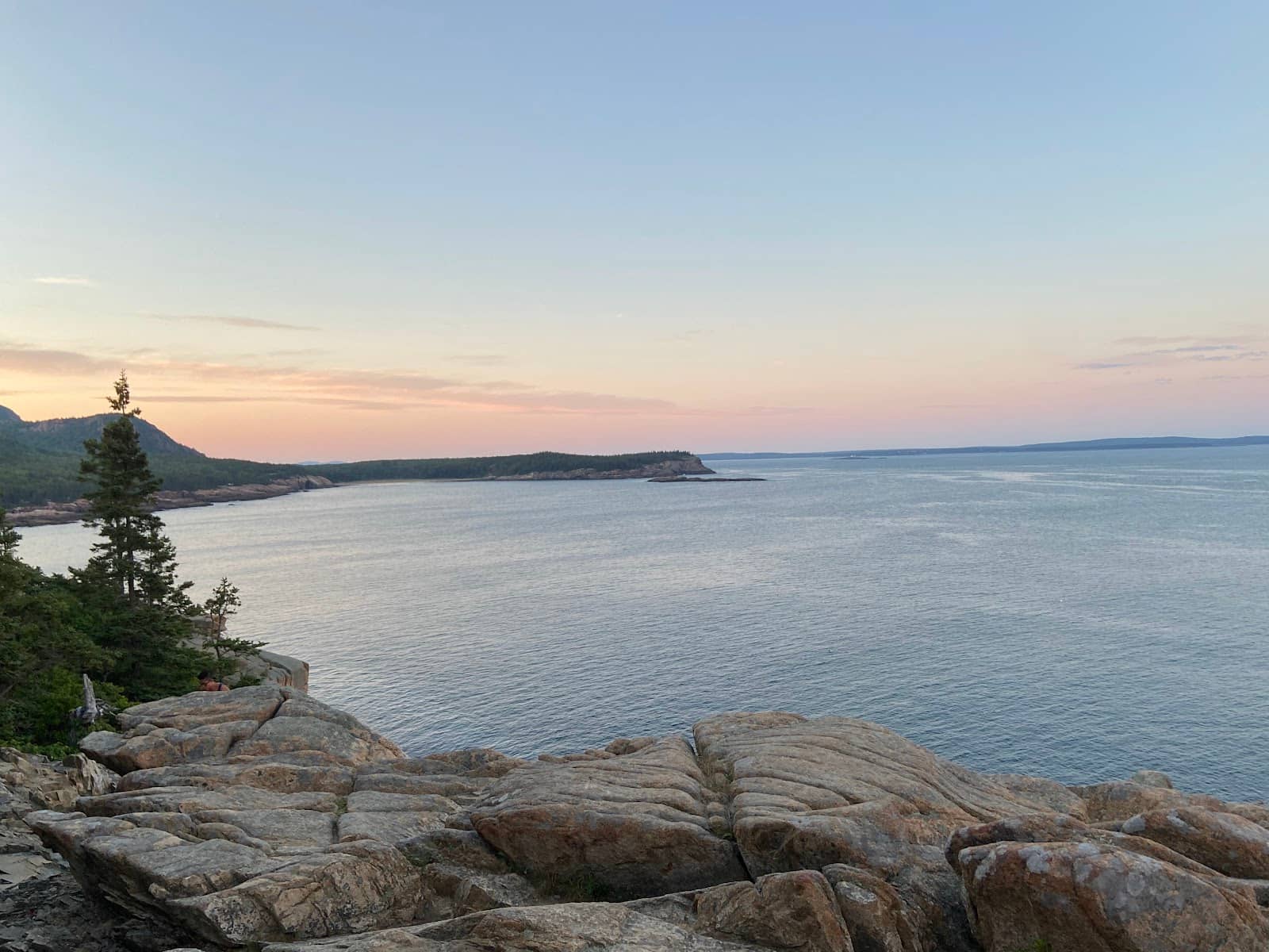 Tide Pool Exploration