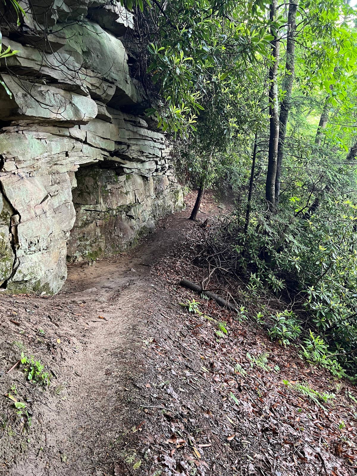 Grandview Overlook