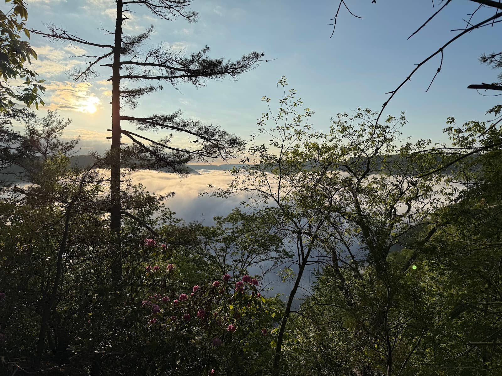 Vertical photo