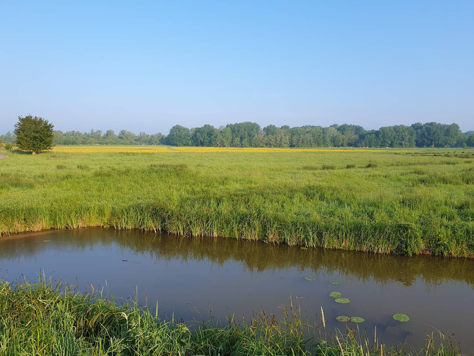 Tranquil Walking Trails