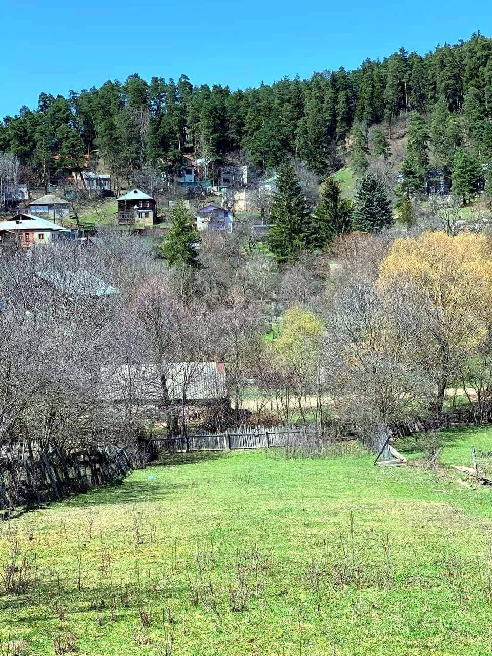 Tsagveri - Image 1