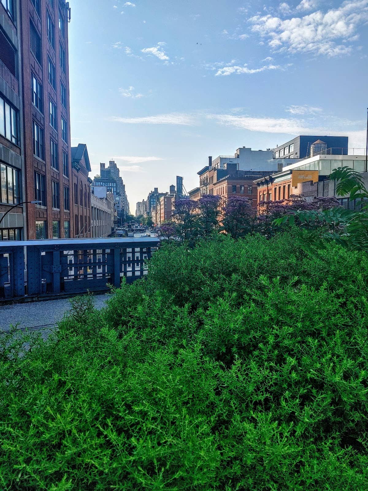 Dinosaur Sculpture on the High Line