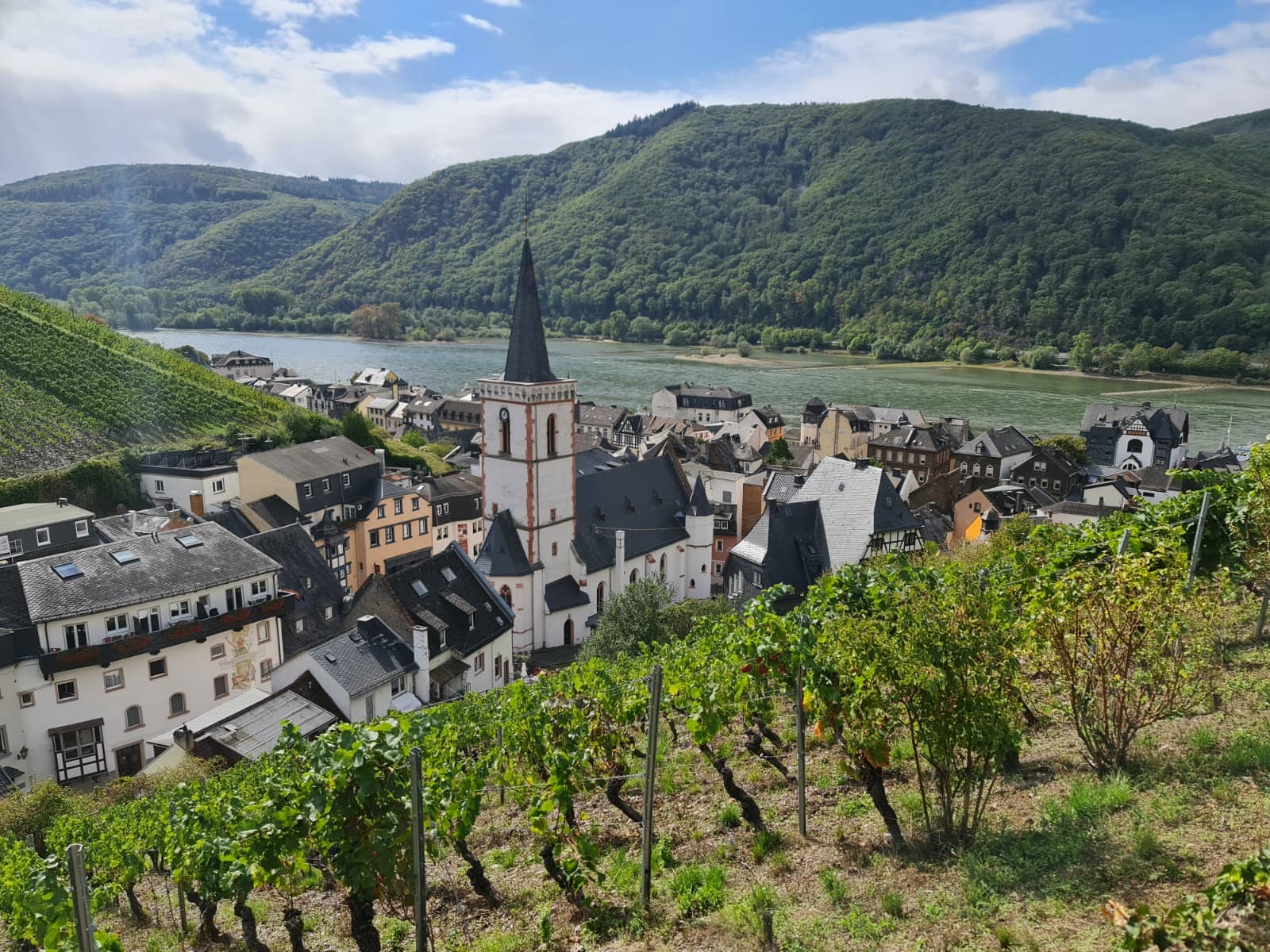 Rhine River Promenade
