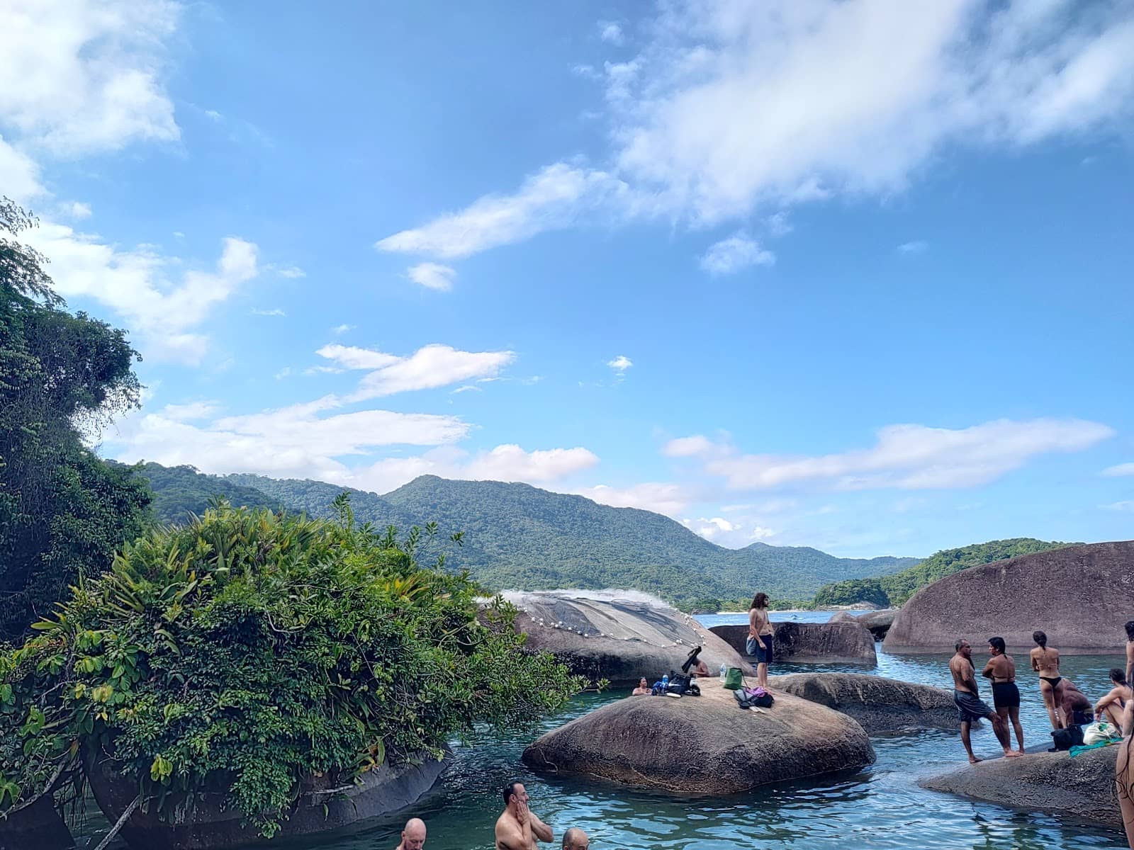 Marine Life Encounters