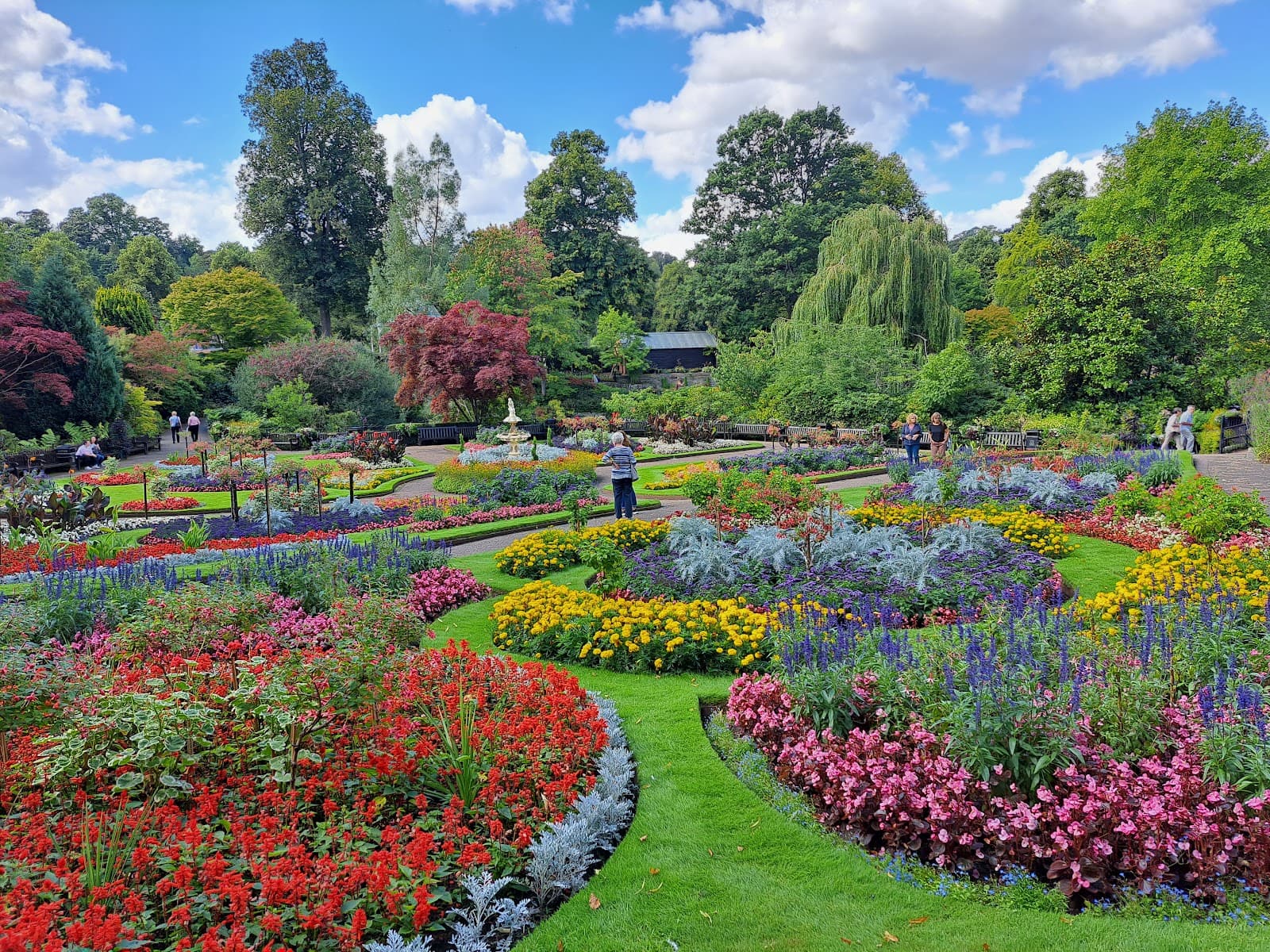 Dingle County Kerry - Image 1