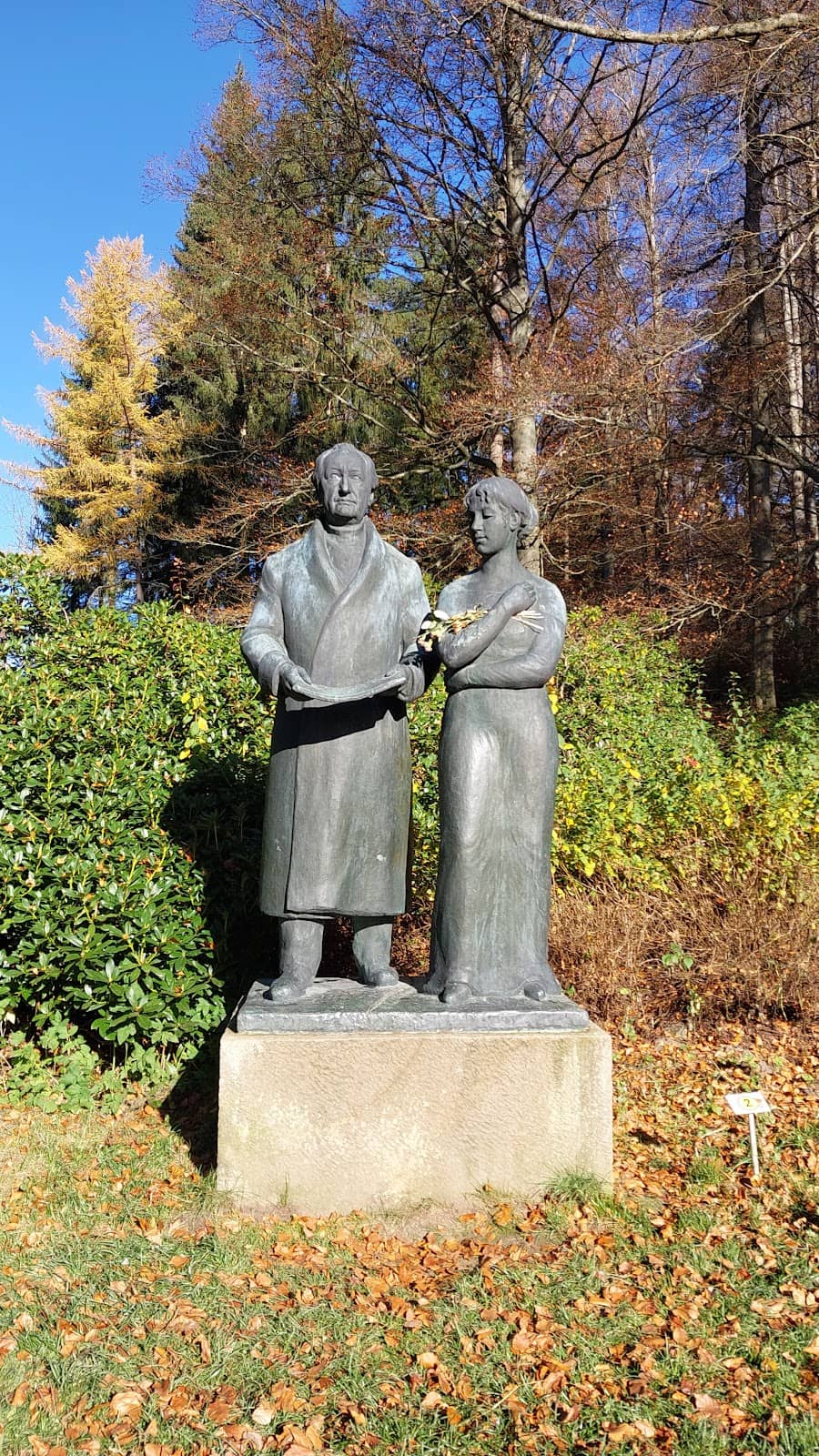 Picturesque Forest Trails