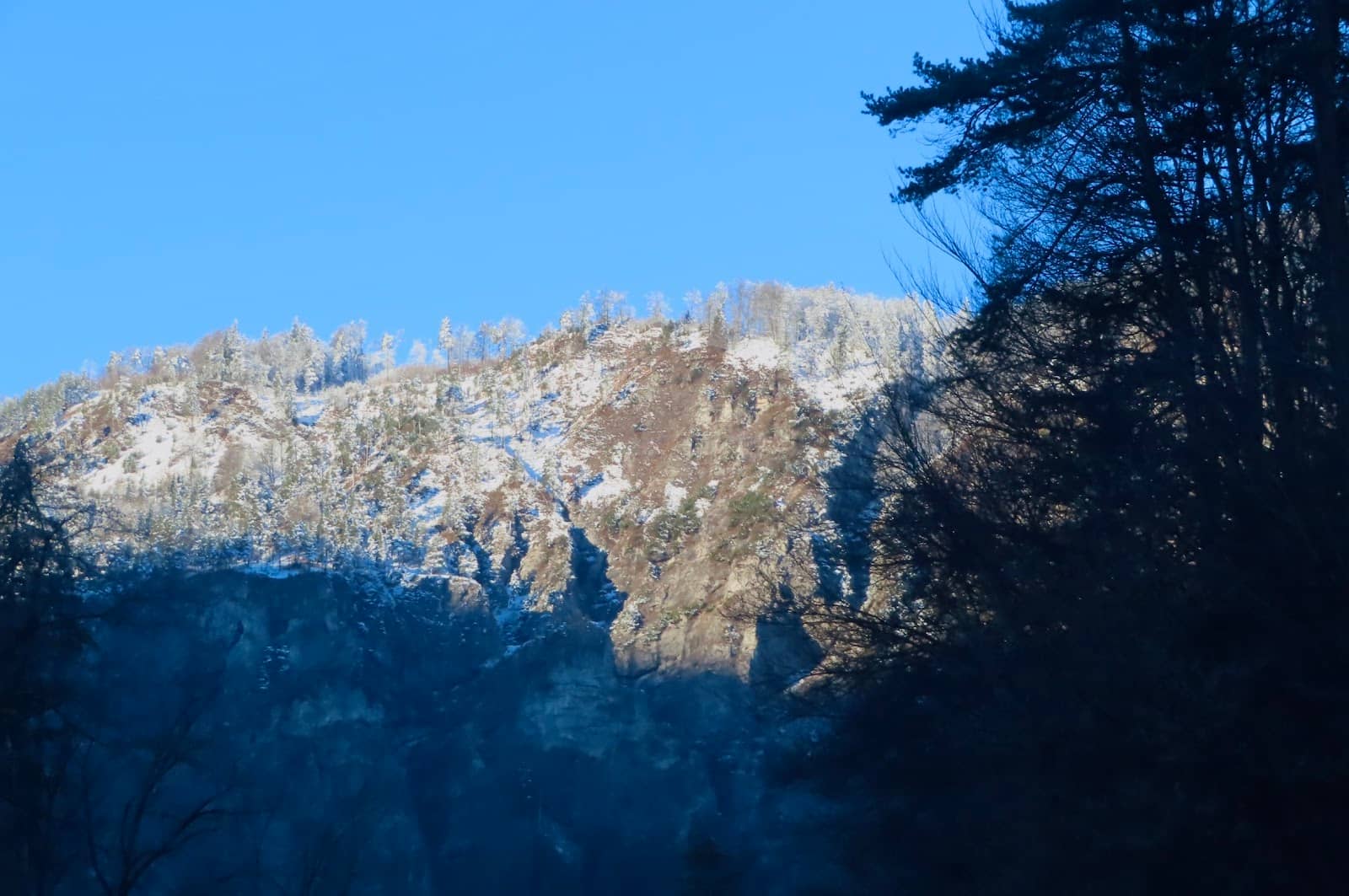 Vertical photo
