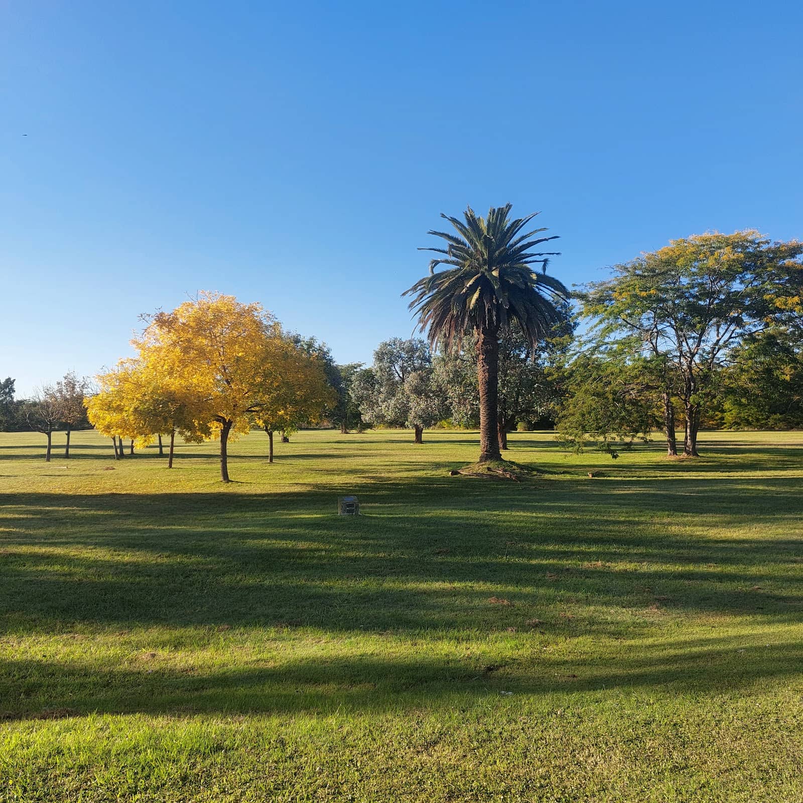 Sprawling Green Spaces