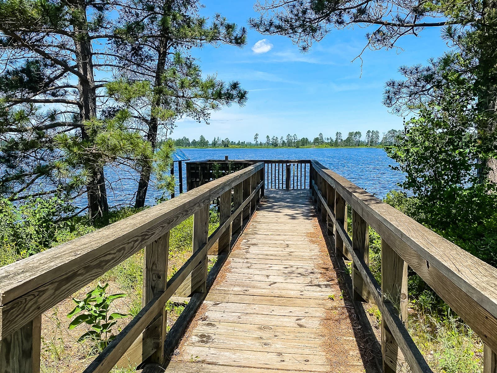 Seney National Wildlife Refuge - Image 1