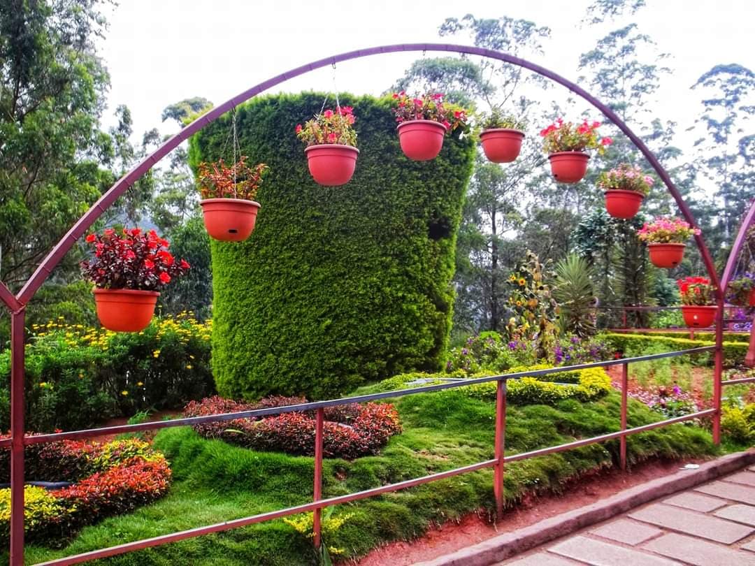 Munnar Rose Garden - Image 1