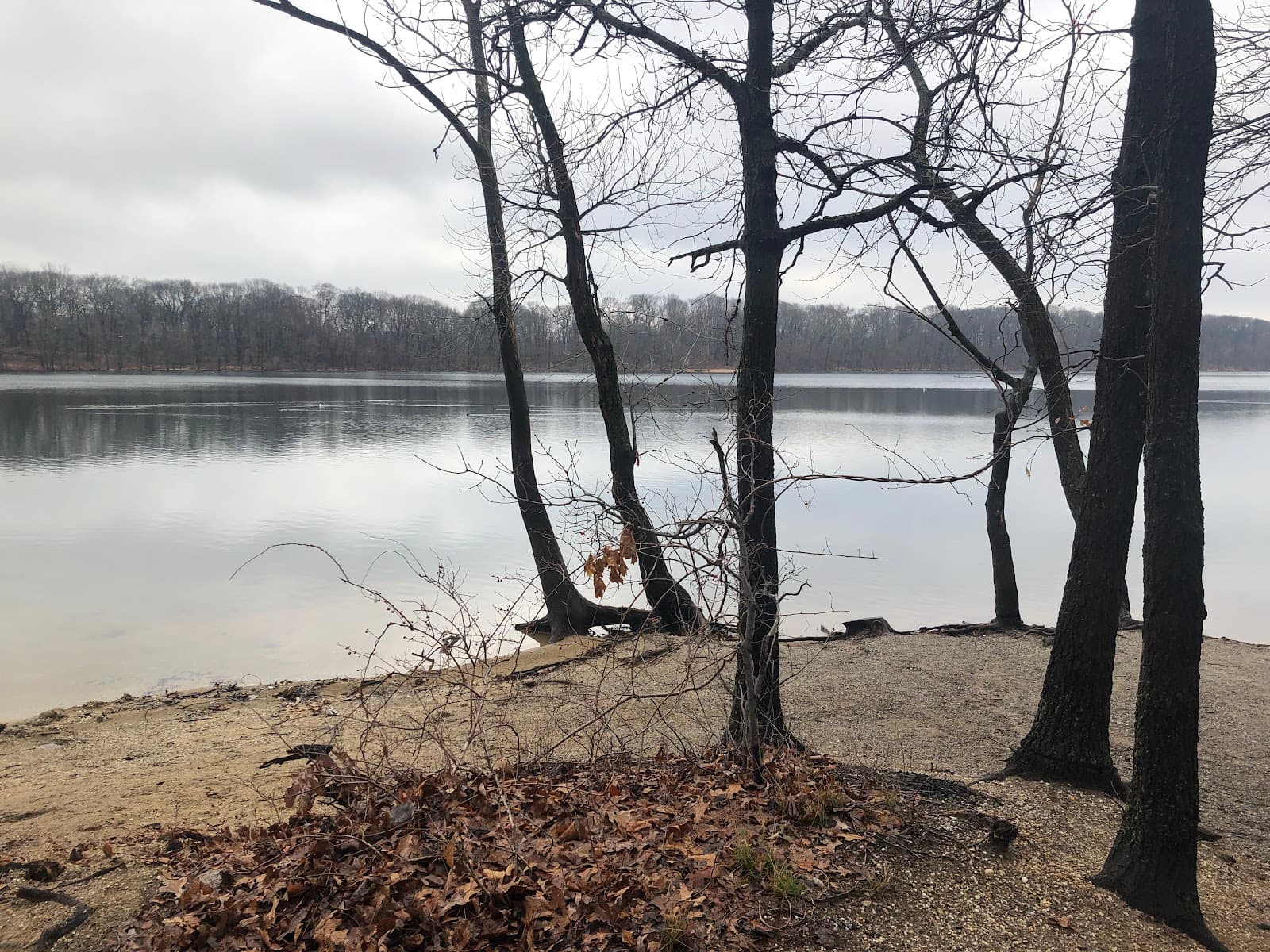 Hempstead Lake State Park - Image 1