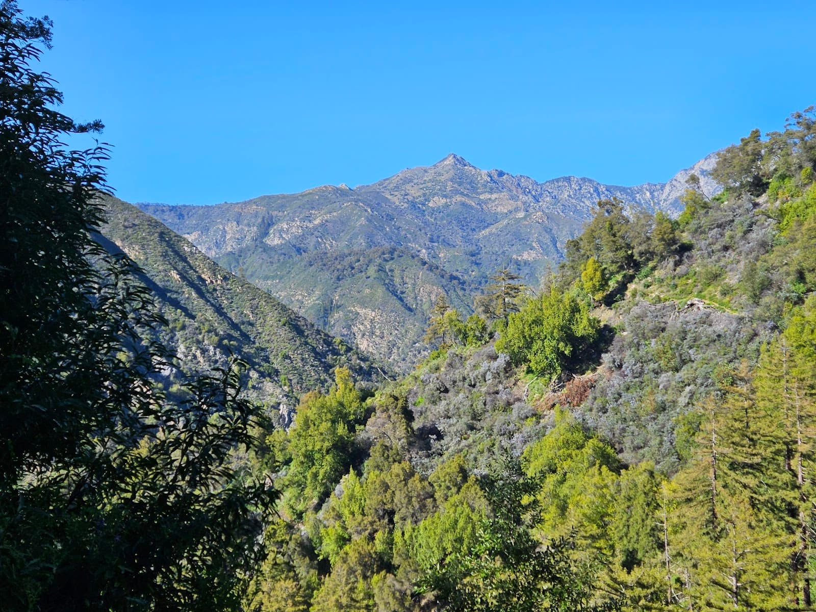 Pine Ridge Trail - Image 1