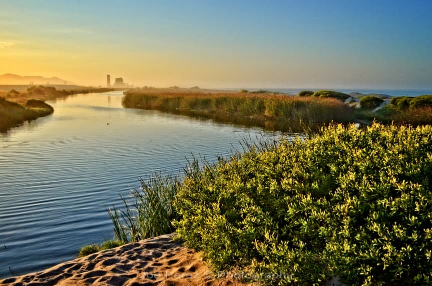Ormond Beach Wetlands - Image 1