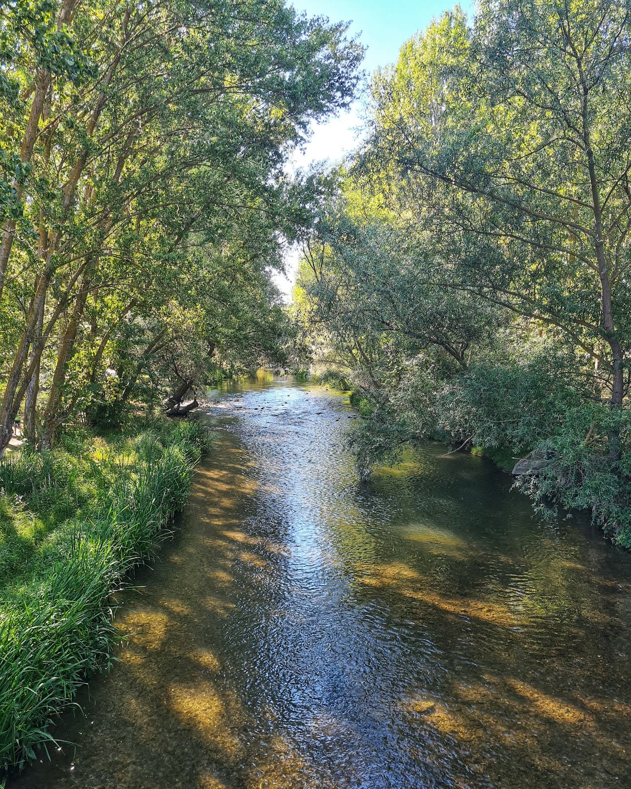 Arlanzón Riverwalk - Image 1