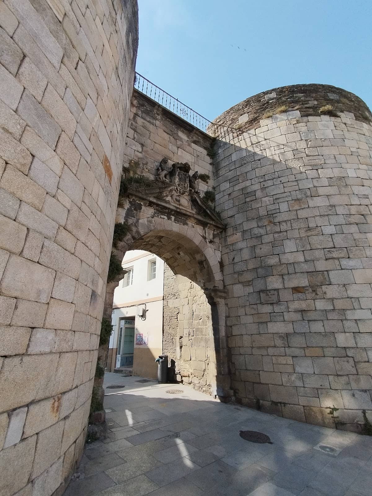 Vertical photo