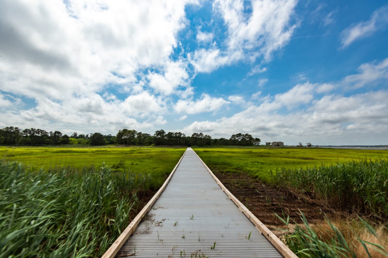 Holts Landing State Park - Image 1