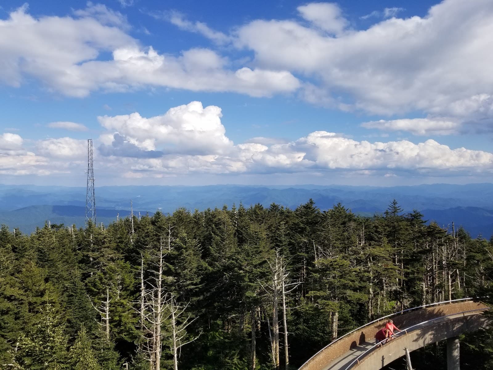 Clingmans Dome - Image 1
