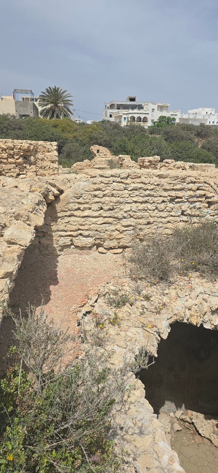Sullecthum Archaeological Site (Salakta) - Image 1