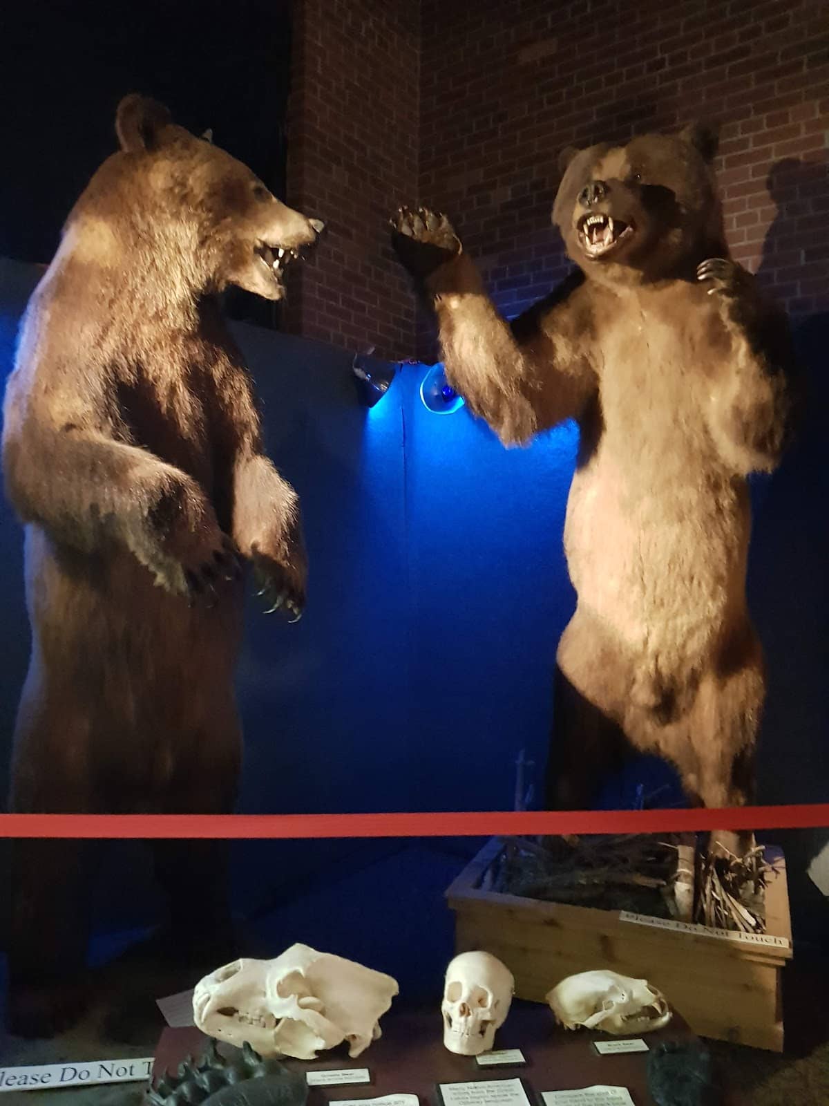 Native American History Exhibits